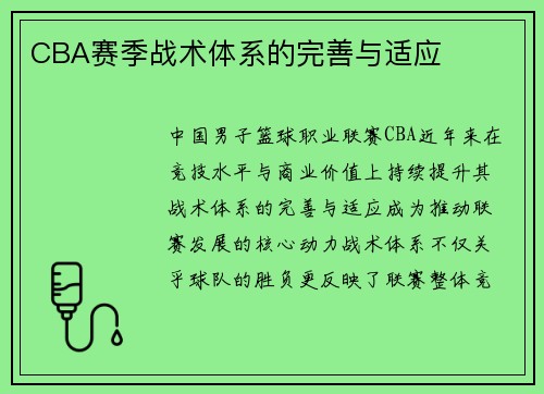 CBA赛季战术体系的完善与适应